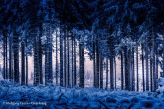 20210101-WKR_1623-Wolfgang-Rauschning