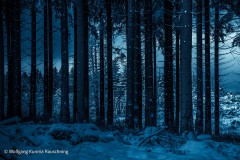 Wolfgang-Rauschning-3