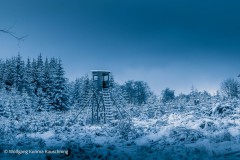 Wolfgang-Rauschning-4
