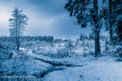 20210101-WKR_1649-Wolfgang-Rauschning