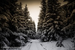 20210101-WKR_1664-Wolfgang-Rauschning