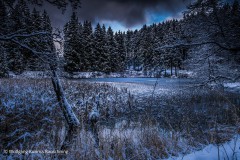 20210101-WKR_1682-Wolfgang-Rauschning