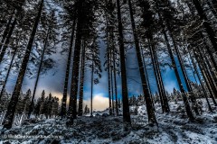 Wolfgang-Rauschning-9