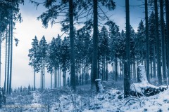 20210101-WKR_1712-Wolfgang-Rauschning