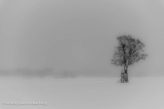 20210103-WKR_1748-Wolfgang-Rauschning