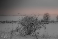 Wolfgang-Rauschning-13