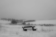 20210103-WKR_1761-Wolfgang-Rauschning