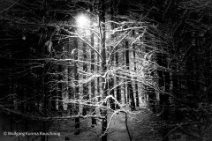 Wolfgang-Rauschning-19