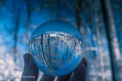 Wolfgang-Rauschning-20