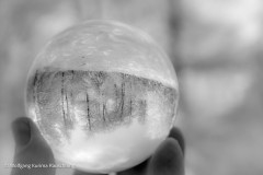 Wolfgang-Rauschning-22