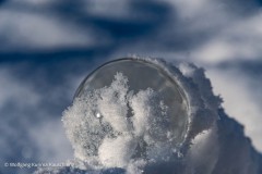 Wolfgang-Rauschning-24