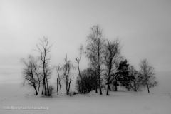 Wolfgang-Rauschning-26