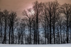 Wolfgang-Rauschning-27