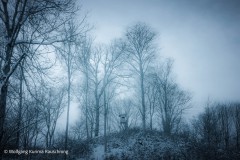 Wolfgang-Rauschning-28