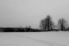 Wolfgang-Rauschning-29