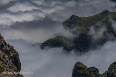 Wolfgang-Rauschning-2