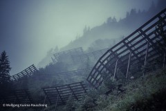 Wolfgang-Rauschning-7