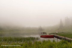 Wolfgang-Rauschning-8