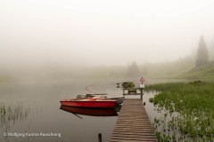 Wolfgang-Rauschning-9