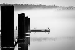 Wolfgang-kurima-Rauschning-6