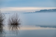 Wolfgang-kurima-Rauschning-7