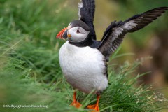 Wolfgang-kurima-Rauschning-2