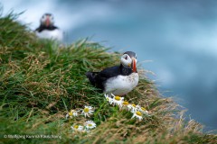 Wolfgang-kurima-Rauschning-38