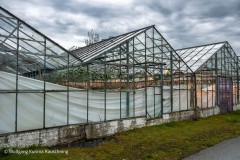 Wolfgang-kurima-Rauschning-47