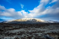 Wolfgang-kurima-Rauschning-29