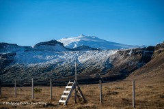 Wolfgang-kurima-Rauschning-50