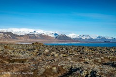 Wolfgang-kurima-Rauschning-52