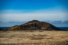 Wolfgang-kurima-Rauschning-55