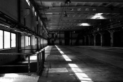 20240509-WKR_1309-Wolfgang-kurima-Rauschning