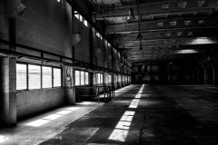 20240509-WKR_1312-Wolfgang-kurima-Rauschning