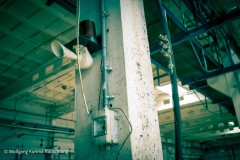 20240509-WKR_1326-Wolfgang-kurima-Rauschning