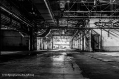 20240509-WKR_1291-Wolfgang-kurima-Rauschning