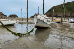 20220814-IMG_2311-