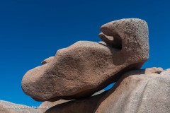 20220819-WKR_3006-Wolfgang-Rauschning